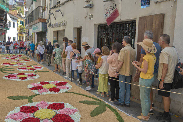 Ситжес, Барселона, Испания - 03 июня 2024 года: на этой фотографии оживает интригующий дизайн лепестков на городской земле в окружении посетителей.