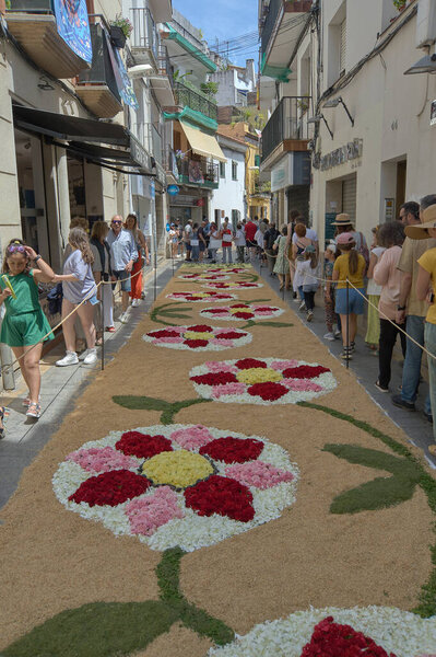 Ситжес, Барселона, Испания-03 июня 2024 года: Праздничный момент увековечивается, когда участники создают художественные узоры, используя только цветы под взглядом публики.