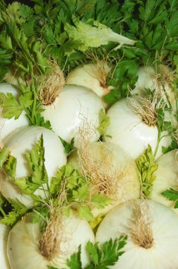 Close-up of white onions with visible roots and green parsley leaves, ideal for cooking and healthy eating themes. clipart