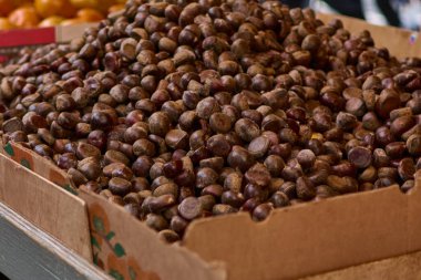 Çin Mahallesi, New York 'ta bir markette bir kutu taze kestane. Görüntü, kestanelerin dokusunu ve rengini yakalıyor ve yerel bir pazarda yerlerini vurguluyor..