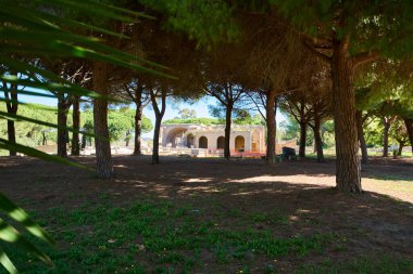 Civitavecchia, İtalya 'da, yemyeşil ağaçlar ve yeşilliklerle çevrili antik Roma hamamlarında. Tarih meraklıları ve seyahat içeriği için ideal. Civitavecchia 'da antik Roma hamamı