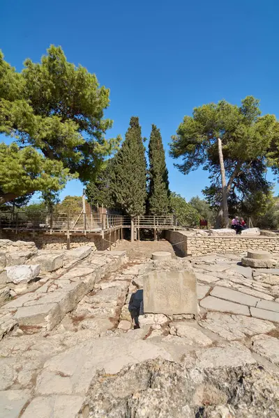 Girit. Yunanistan - 05 Mayıs 2025: Knossos Sarayı 'nın arkeolojik sahasında, bu Minos medeniyetinin tarihi ve doğasının ahenkli bir karışımını yansıtan, uzun ağaçlar ve yoğun yeşilliklerle örülmüş antik taş kalıntıları yer alıyor..