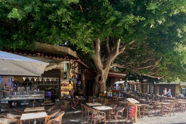 Rhodes. Yunanistan 24 Mayıs 2025: Olgun bir ağacın geniş gölgesinin altında serin ve rahat bir atmosfer sunan masa ve sandalyeli bir açık hava kafe sahnesi