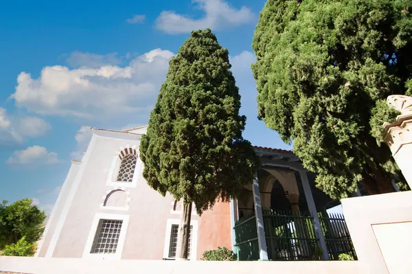 Yükselen selen selvi ağacı mavi gökyüzüne doğru uzanır, Rhodes Eski Kasabası 'nda kemerli pencereleri olan tarihi bir binayı çerçeveler, yerel bitki örtüsü ve mimariyi ön plana çıkarır..