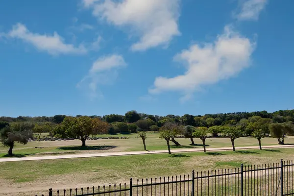 Yunanistan 'ın Rodos kentinde doğal bir manzara, dağınık zeytin ağaçları, çimenli tarlalar, mavi gökyüzü ve bulutlar kırsal Akdeniz güzelliklerini yakalıyor..