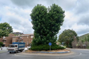 Viladecans.Barcelona - 28 Temmuz 2025: Mavi ayrıntı taşıyan bir belediye kamyonu, merkezinde büyük yeşil bir ağaç bulunan bir kavşağın etrafından geçiyor..