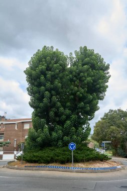 Mavi dairesel uyarı işareti ve belirgin yol işaretlerinin yer aldığı iyi korunmuş bir kentsel kavşağın yakın çekimi..