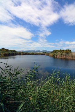 Balsas de Can Dimoni Gölü 'nün sakin bir manzarası, bereketli sazlıklar ve ağaçların suların kenarında ve uzak mesafelerde görülebilen dağlarla kaplı doğal bir sulak alan..
