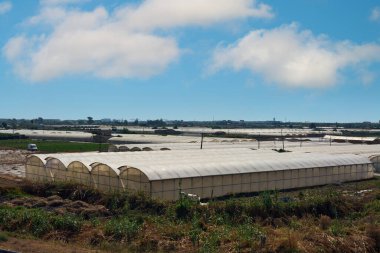 Modern seralarla kaplı tarım alanları engin kırsal bir arazide mavi gökyüzünün altında dağınık bulutlar altında yoğun tarımcılık gösteriyor..