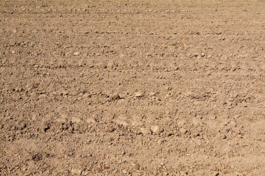 Tarımsal bir tarlada yeni sürülmüş toprağın dokusuna yakın çekim, toprak parçalarını ve tarımın hazırlanmasını gösteriyor..