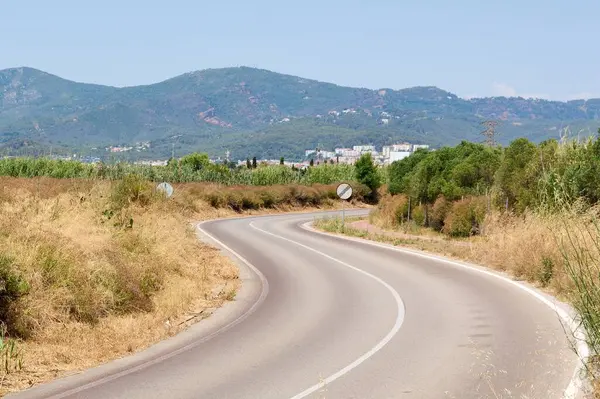 Ufuk çizgisine doğru giden S şeklinde bir yolun perspektifi. Kuru otlar uzak dağların yeşiliyle çelişiyor..