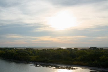 Bulutlu bir gökyüzü ve parlak bir güneşin altında, alçak gelgitli bir bataklık ve yemyeşil bir ormanın yer aldığı sakin, doğal bir manzara..
