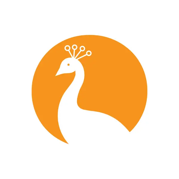 O Harfi Tavuskuşu Logo Tasarım Vektör Şablonu