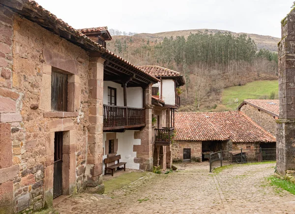 Cantabria 'nın Carmona kasabasındaki tipik kaldırım taşı sokak ve taş evler. İspanya.