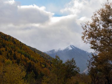 Aragonese Pireneleri 'nde sonbahar ormanı. Turuncu kolonlu orman