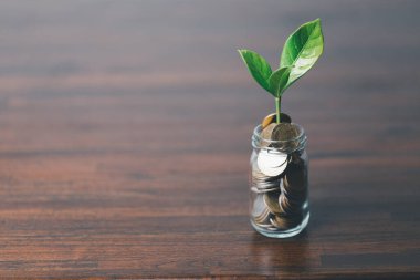 Para ya da para ağacı bir iş büyümesi. Madeni paraların üzerindeki iş bitkisi masanın üzerindeki parayı işaret ederek büyüyor. Ekonomik sembolde yeşil çevre iş dünyası başarısı.