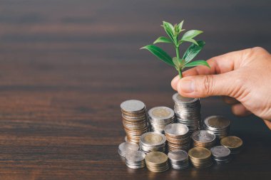 Madeni para yığınında yetişen yeşil bitki bir iş büyümesi konseptidir. Madeni para ağacını elinde tutan el, çevre ekolojisinin yatırımında iş başarısını gösteriyor.