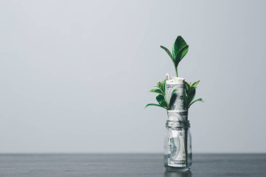 Para ya da para ağacı bir iş büyümesi. Madeni paraların üzerindeki iş bitkisi masanın üzerindeki parayı işaret ederek büyüyor. Ekonomik sembolde yeşil çevre iş dünyası başarısı.