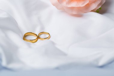 Nişan için altın alyanslar. Beyaz, pembe kurdeleli altın yüzükler. Yüzükler beyaz ve kırmızı gülde. Evlilik yüzükleri çiftlerin geleneksel düğünlerinin sembolüdür..