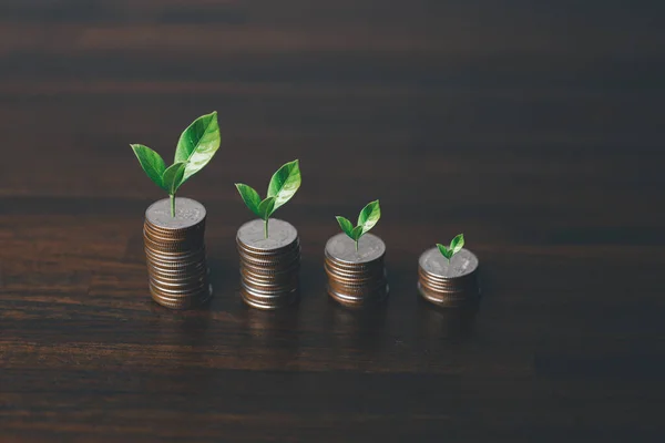 The money coin or money tree is a business growth. The business plant on coins growing with a hand pointing at money on the table. The green environment background business success in economic symbol.