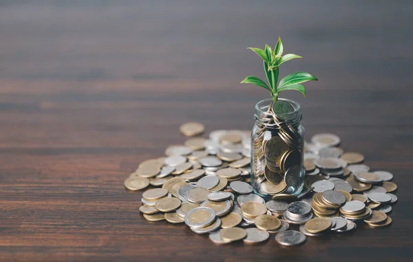 stock image The money coin or money tree is a business growth. The business plant on coins growing with a hand pointing at money on the table. The green environment background business success in economic symbol.