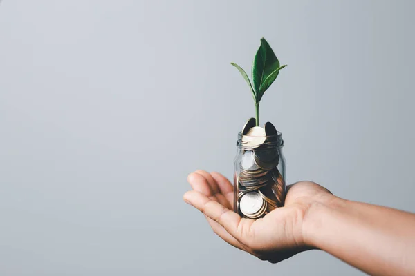 The green plant grow on coin stack is a business growth concept. The hand that is holding coin tree with some natural background is shown the business success in an investment of environmental ecology