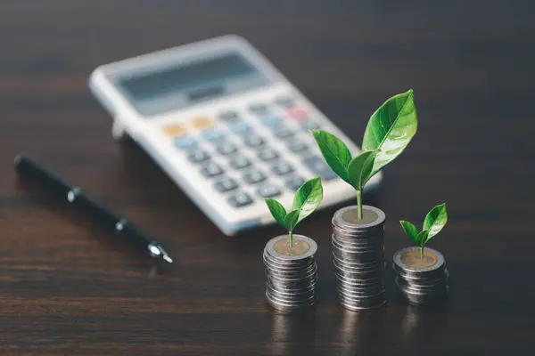 貨幣や貨幣の木は事業の成長である テーブルの上でお金を指して手で成長するコインの事業所 経済シンボルのグリーン環境ビジネスの成功 — ストック写真