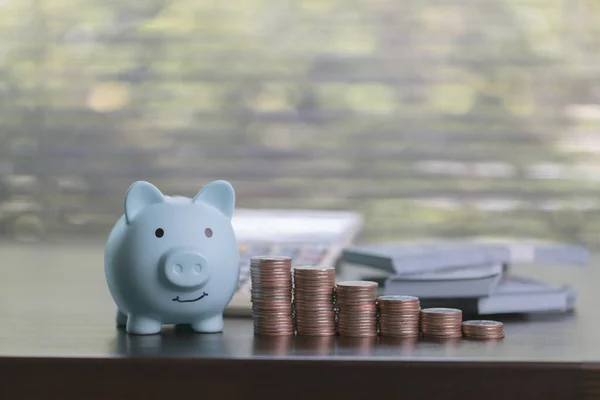 Profesyonel Yatırım Planlama Işletme Finans Konularında Karlılığın Artması Bozuk Paralar — Stok fotoğraf