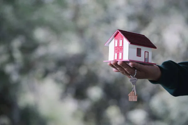 Home Empréstimo Moedas Fundo Sereno Natureza Finanças Investimento Conceito Imobiliário — Fotografia de Stock