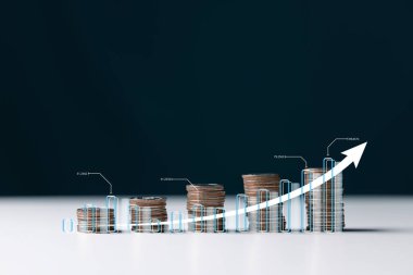 Finans ve iş konsepti. Yatırım grafiği ve sıra sıra para artışı, fon için finans ve bankacılık kavramına sahip madeni para. Başarı için adım adım büyüme ve yürüme kavramı.