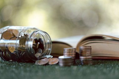 Yığınla para kavanozlarda, yeşil çimen üzerine kitaplar, doğa hakkında kitaplar, eğitim ve burs konsepti, öğrenci kredisi, finans eğitimi, diploma için para biriktirme, eğitim için tasarruf.