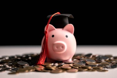 Üniversite için para biriktir, finans oku, banka hesaplarını akıllıca yönet ve eğitime dikkatli finansal planlama ve tasarruf gerektiren değerli yatırım olarak bak. tasarruf, para, eğitim, finans, eğitim