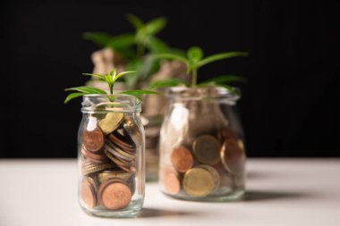 Ticarete yatırım ve akıllı para tasarrufu büyümeye, zenginliğe ve kâra yol açar, para ve sikkelerin stratejik kullanımıyla finansal kalkınmayı ve başarıyı teşvik eder. global, plan, koruma