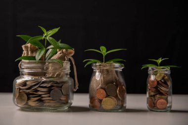 Ticarete yatırım ve akıllı para tasarrufu büyümeye, zenginliğe ve kâra yol açar, para ve sikkelerin stratejik kullanımıyla finansal kalkınmayı ve başarıyı teşvik eder. global, plan, koruma