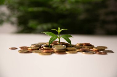Zenginlik büyümesinin amacı dikkatli yatırım planlama, bankacılık stratejileri ve finansal büyümeyi ve uzun vadeli başarıyı desteklemek için para biriminden yararlanan fonun geliştirilmesi yoluyla elde edilir. İç görü