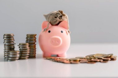 Dikkatli bütçe ve akıllı yatırımlar yoluyla tasarruf etmek bir işletmenin finansmanını güçlendirebilir ve sağlam bir ekonomiye katkıda bulunabilir. Ödül, mülk, hazine, hisse, oyuncak, başarı, motivasyon