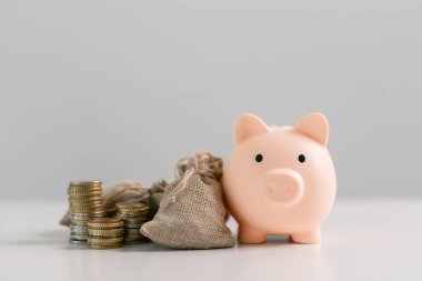 Bankada para biriktirmek ve mülkiyet ve hisse senetlerine stratejik yatırımlar yapmak sermayenizi artırırken mali durumunuzun güvende olmasını sağlayabilir. kavram, hesap, borç, kazanç, gelir, kâr
