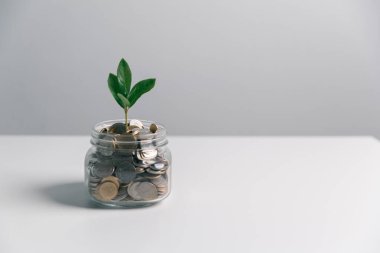 İş konsepti büyümesi stratejik mali yönetim, para yatırımı, yatırım bankası, emlak, ekonomik kalkınma, ev-araba eğitimi, gelir yığını, yatırım ekonomisi...