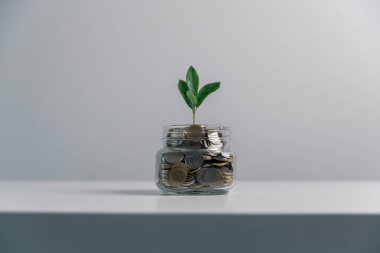 İş konsepti büyümesi stratejik mali yönetim, para yatırımı, yatırım bankası, emlak, ekonomik kalkınma, ev-araba eğitimi, gelir yığını, yatırım ekonomisi...