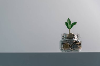 İş konsepti büyümesi stratejik mali yönetim, para yatırımı, yatırım bankası, emlak, ekonomik kalkınma, ev-araba eğitimi, gelir yığını, yatırım ekonomisi...