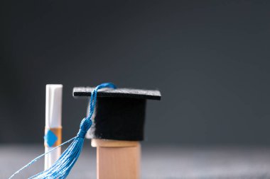 Konsept eğitim, işletme bursu temel fikir küreselleşme, havan topu öğrencileri üniversitelerde öğrenme ve öğrenim görmektir.