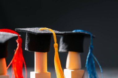 Konsept eğitim, işletme bursu temel fikir küreselleşme, havan topu öğrencileri üniversitelerde öğrenme ve öğrenim görmektir.