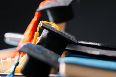 Konsept eğitim, işletme bursu temel fikir küreselleşme, havan topu öğrencileri üniversitelerde öğrenme ve öğrenim görmektir.