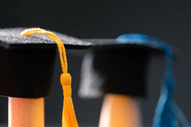 Konsept eğitim, işletme bursu temel fikir küreselleşme, havan topu öğrencileri üniversitelerde öğrenme ve öğrenim görmektir.