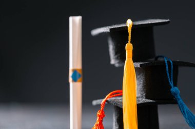 Konsept eğitim, işletme bursu temel fikir küreselleşme, havan topu öğrencileri üniversitelerde öğrenme ve öğrenim görmektir.