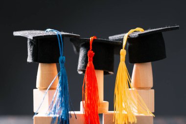 Konsept eğitim, işletme bursu temel fikir küreselleşme, havan topu öğrencileri üniversitelerde öğrenme ve öğrenim görmektir.