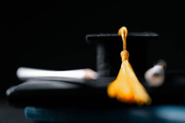 Konsept eğitim, işletme bursu temel fikir küreselleşme, havan topu öğrencileri üniversitelerde öğrenme ve öğrenim görmektir.