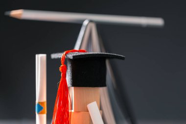 Konsept eğitim, işletme bursu temel fikir küreselleşme, havan topu öğrencileri üniversitelerde öğrenme ve öğrenim görmektir.