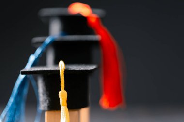 Konsept eğitim, işletme bursu temel fikir küreselleşme, havan topu öğrencileri üniversitelerde öğrenme ve öğrenim görmektir.