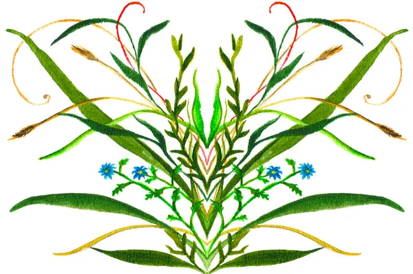 Watercolor illustration of the wildflowers isolated on the white background, decorative element